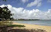 Property For Sale Or Rent: Puerto Rico Paradise