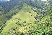 Property For Sale Or Rent: 42 Acres Of Prime Mountain Real Estate In Atenas, Costa Rica