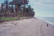 Real Estate For Sale: 1/4 Mile Of Caribbean Beachfront For $400,000