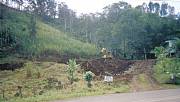 Real Estate For Sale: Property Ready To Construct. Beautiful View Of Turrialba.