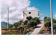 Property For Sale Or Rent: Great Property In The Heart Of Sicily