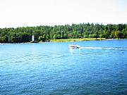 Real Estate For Sale: Coastline Property On Island Of Nature Preserve