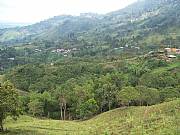 Real Estate For Sale: Wonderful Coffee Land With Fantastic Views