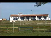 Real Estate For Sale: Luxury Farm/House On The Middle/South Portugal
