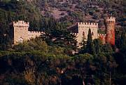 Property For Sale Or Rent: Rent The Medieval Borgia Castle For Your VACATION.14 Sleeps