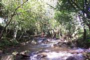 Property For Sale Or Rent: 5 Acre Farms Near Boquete; River And Road Frontage, Views