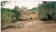 Property For Sale Or Rent: Olive Farm With Sea And Mountain Views Near Tortosa & Ebro R