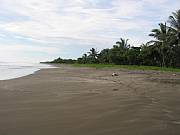 Real Estate For Sale: Beautiful Lot In Great Neigborhood With Short Walk To Beach.