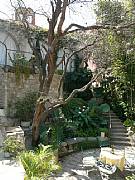 Real Estate For Sale: Lush Gardens - Historic District - Casa Cuna