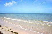 Real Estate For Sale: Beachfront Land Perfect For Your Getaway Home On The Gulf