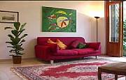 Rental Properties, Lease and Holiday Rentals: Indipendent Apartment With A Big Green Garden In Rome