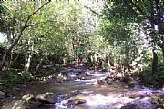 Property For Sale Or Rent: 6-9 Acre Farms Near Boquete; River And Road Frontage, Views