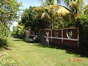 Property For Sale Or Rent: Land With Two Houses -Tropical Paradise.