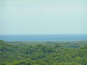 Real Estate For Sale: Lomas De Santa Rosa, Oceanview & Valleyview Lots @Tamarindo