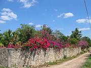 Property For Sale Or Rent: Las Bougainvillas In Historic Town Of Izamal