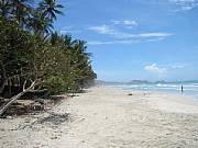 Property For Sale Or Rent: Beautiful Beachfront Land With Approved Permit For Construct