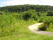 Real Estate For Sale: Gorgeous Isabela Puerto Rico Commercial Building Land Lots