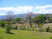 Property For Sale Or Rent: Residential Lots With Splendid View And Pleasant Climate