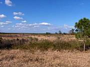 Real Estate For Sale: Five Acre Country Lots