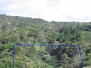 Real Estate For Sale: Beautiful Coffee Plantation