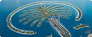 Property For Sale Or Rent: The Palm Island - Property In Dubai