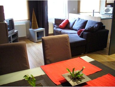 Property For Sale Or Rent: 2 bedroom apartment Iin heart of brussels