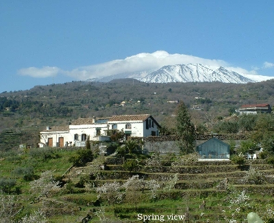 Property For Sale Or Rent:  Antique Villa for Sale in Eastern Sicily